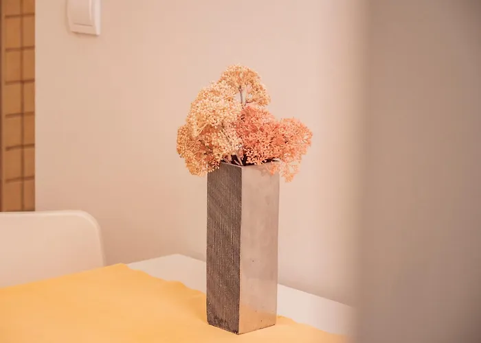 App Jelka Center Of Town Hvar Apartman *